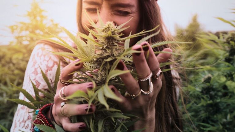 Fotografia mostra mulher apreciando o aroma de uma planta de cannabis.