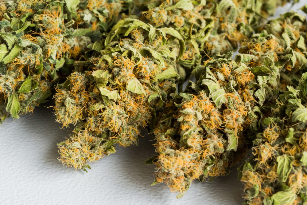 Foto mostra buds de cannabis prontos para consumo. Foto: wirestock freepik