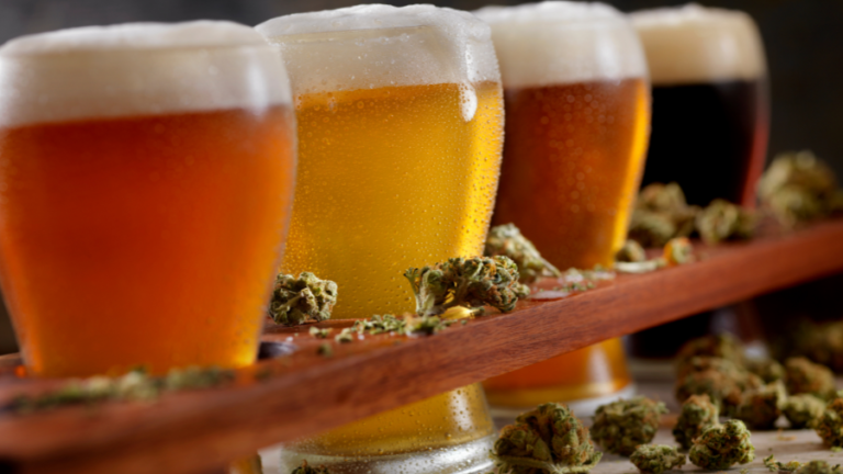 Cerveja com Cannabis álcool maconha